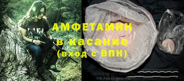 гидра Аркадак