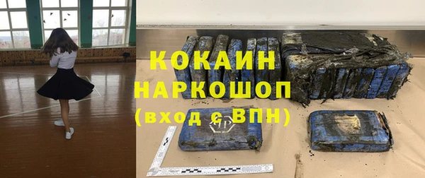 гидра Аркадак